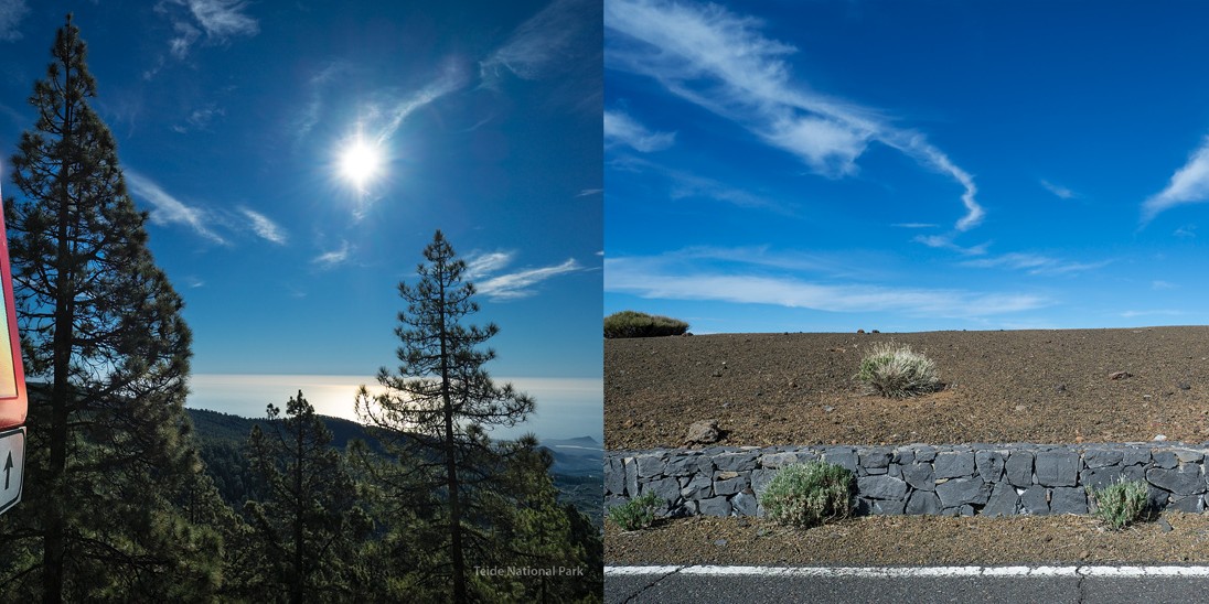 Tenerife_18_vielEb_20x30_1Eb_web